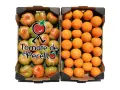 Caja Mixta 14,3 kg ( 4,3 kg tomates + 10 kg naranjas)