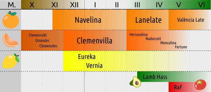 Calendario variedades Calendario variedades