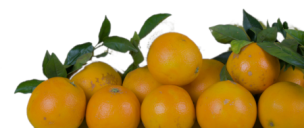 Comprar NARANJAS