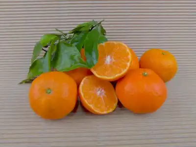 Caja Mandarinas Ecológicas 5 kg