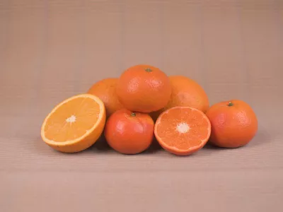 Caja Mixta Ecológica 10 kg (5 kg naranjas + 5 kg mandarinas)