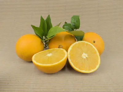 Caja Naranjas Ecológicas 5 kg