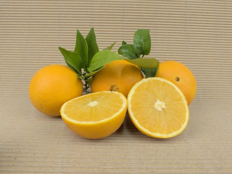 Caja Naranjas 20 kg