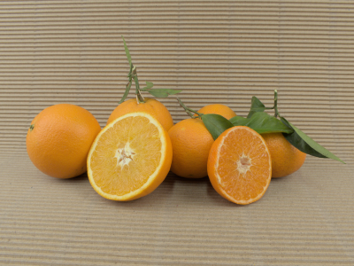 Caja Mixta Ecológica 15 kg (10 kg naranjas + 5 kg mandarinas)