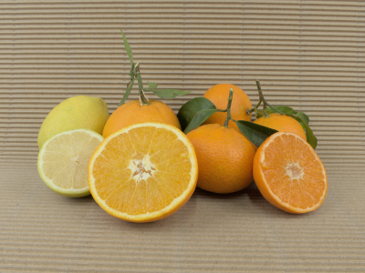 Caja Mixta 20 kg (8 kg naranjas + 10 kg mandarinas + 2 kg limones)