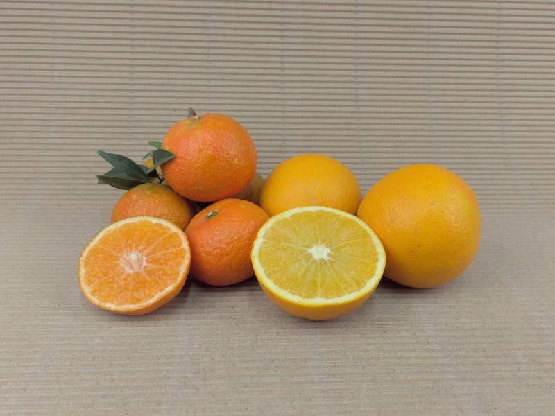 Caja Mixta Ecológica 20 kg (15 kg naranjas + 5 kg mandarinas)