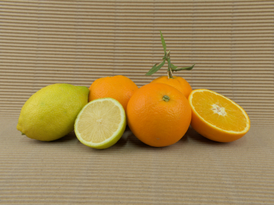 Caja Mixta Ecológica 20 kg (16 kg naranjas + 4 kg limones)