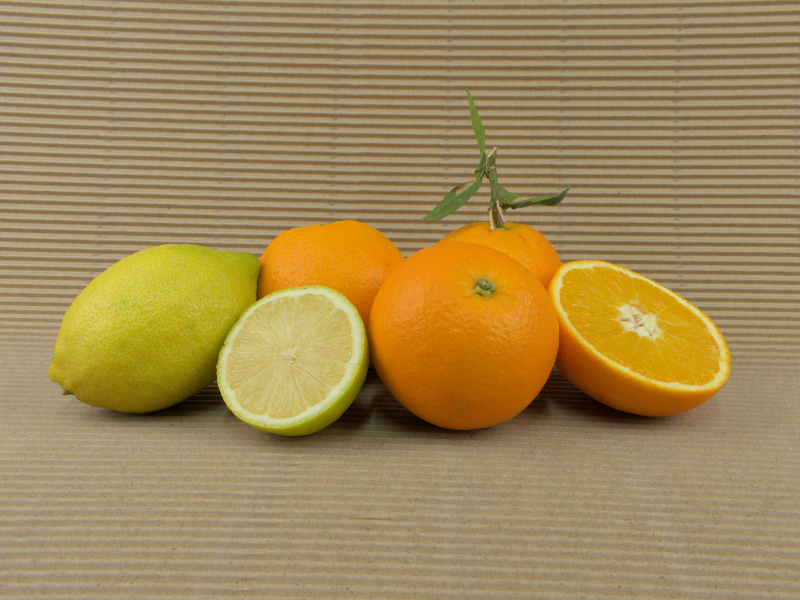 Caja Mixta 20 kg (16 kg naranjas + 4 kg limones)
