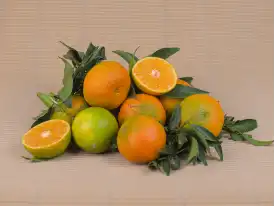 Comprar MANDARINAS