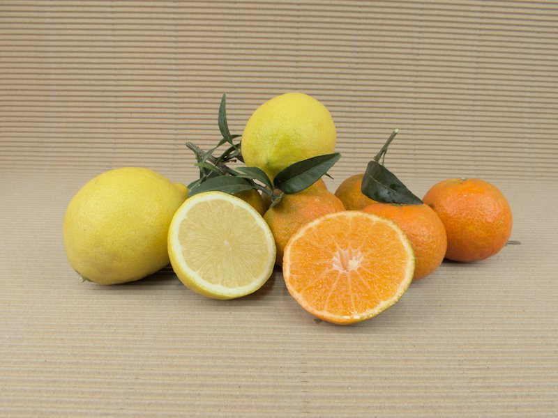 Caja Mixta 20 kg (16 kg mandarinas + 4 kg limones)