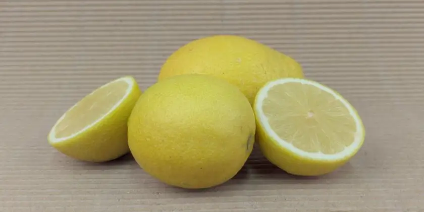 Limones Verna