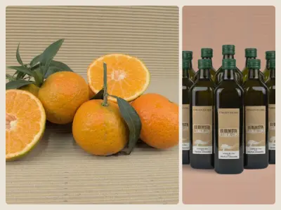 Caja Mixta Ecológica 20 kg (19 kg mandarinas + 1 L aceite)