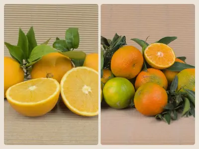 Caja Mixta 10 kg (5 kg naranjas + 5 kg mandarinas)
