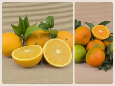Caja Mixta 20 kg (15 kg naranjas + 5 kg mandarinas)