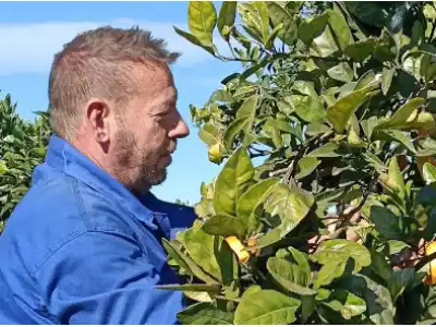 Fran Nicolás: Recolector