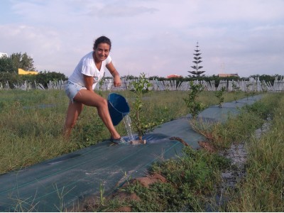 En la plantación nueva