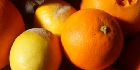 NARANJAS FEAS