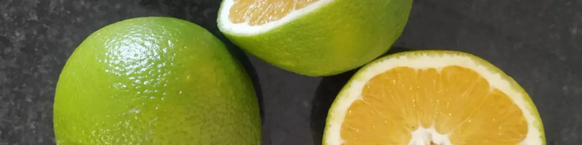 Naranjas y mandarinas verdes o pálidas