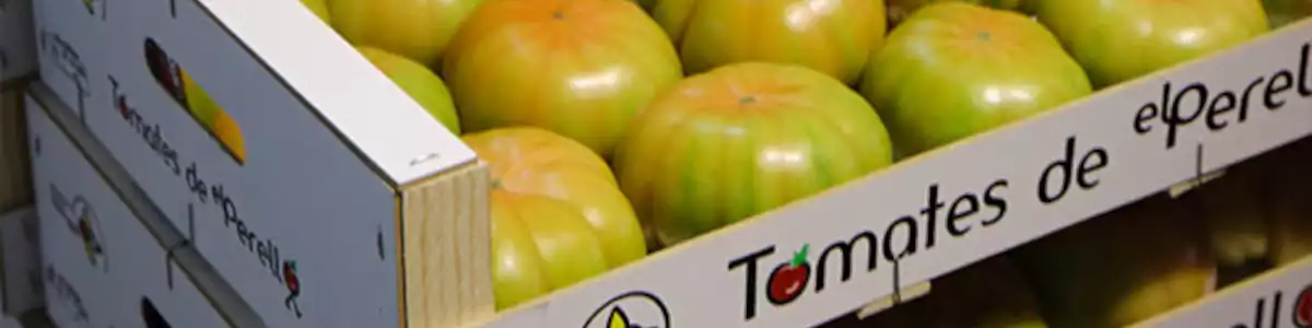 El tomate de El Perelló: De la arena de nuestra infancia a vuestra mesa