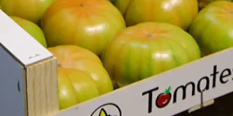 El tomate de El Perelló: De la arena de nuestra infancia a vuestra mesa