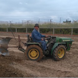 Preparando la tierra