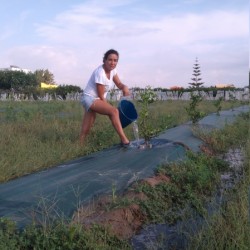 Dando el biberón a los bebés