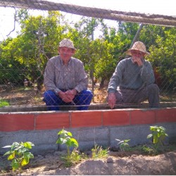 Tomás y Joaquín observando el día que plantamos