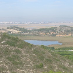 Bassa de Sant Llorens