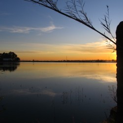 Albufera