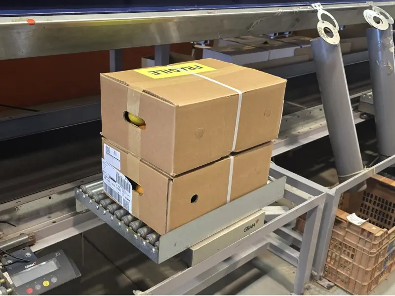 Caja Aguacates 9 kg
