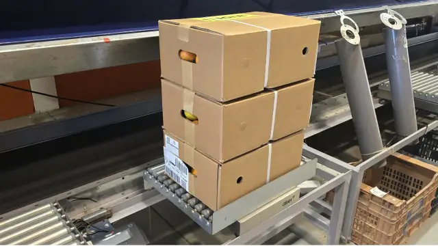 15 kg · 3 bultos