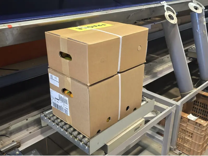 Caja Mixta 14,3 kg ( 4,3 kg tomates + 10 kg naranjas)