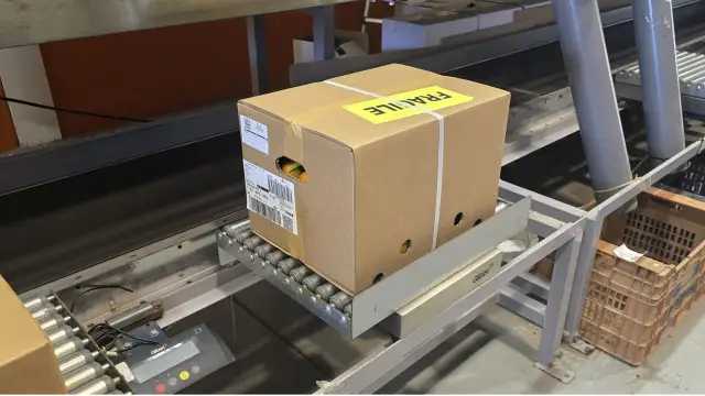 10 kg