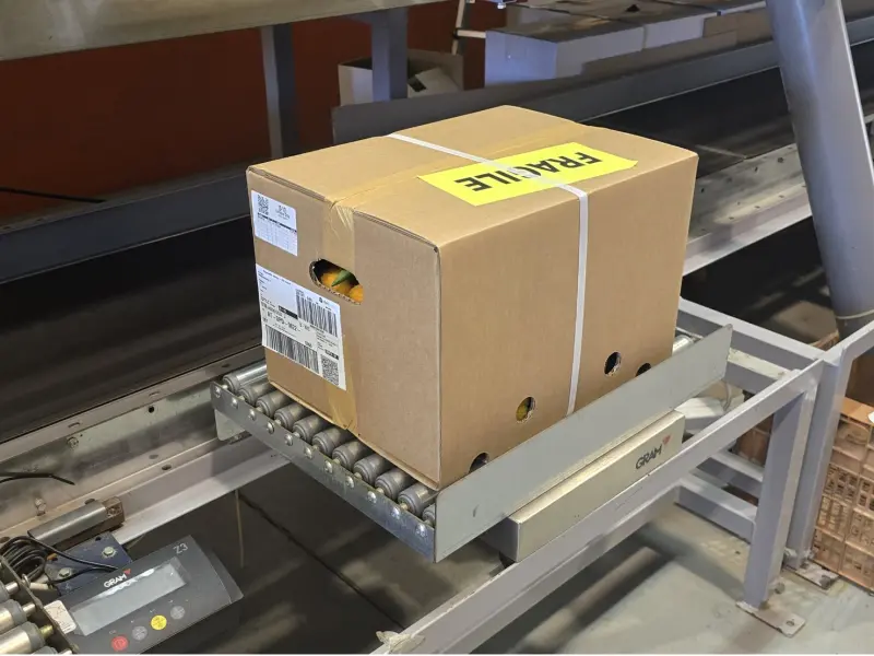 Caja Mixta Ecológica 10 kg (9 kg naranjas + 1 kg aguacates)