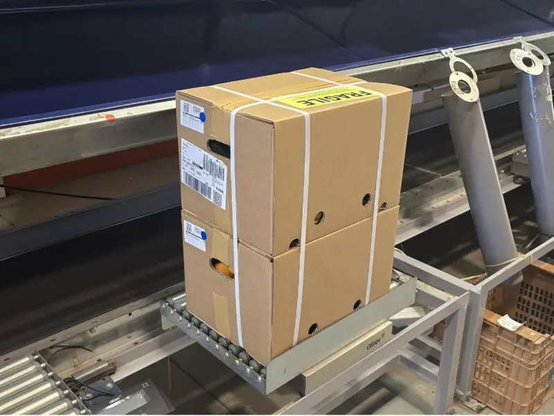 Caja Mandarinas 20 kg