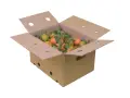 Caja Mandarinas 10 kg
