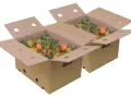 Caja Mixta Ecológica 20 kg (10 kg naranjas + 10 kg Sanguinelli)