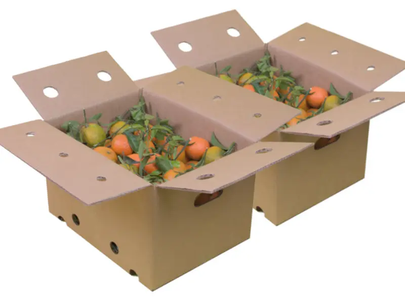 Caja Mixta Ecológica 20 kg (10 kg naranjas + 10 kg Sanguinelli)