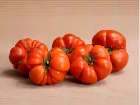 Comprar TOMATES
