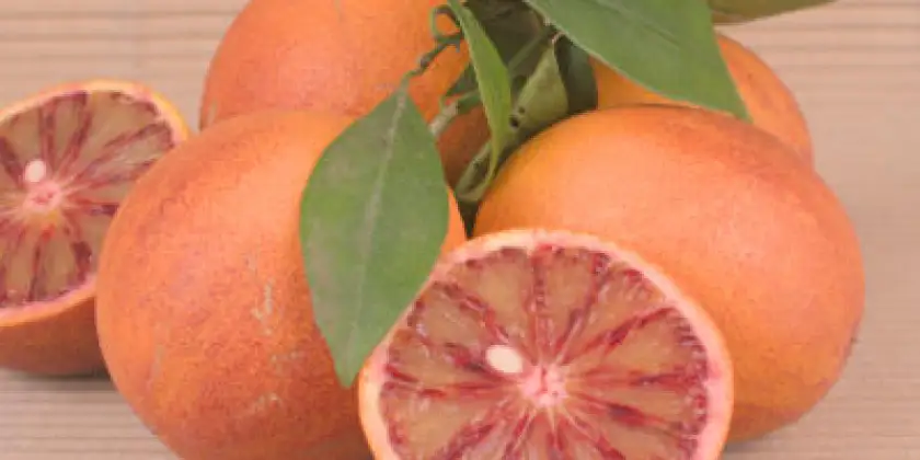 Naranjas sanguinas Sanguinelli