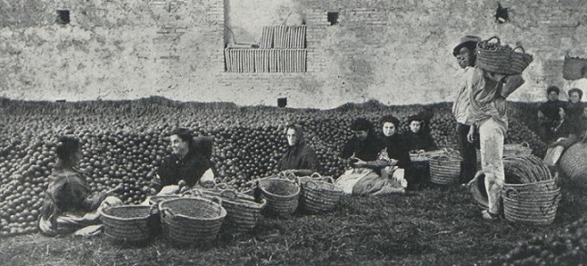 Mujeres encajadoras de naranjas (1)